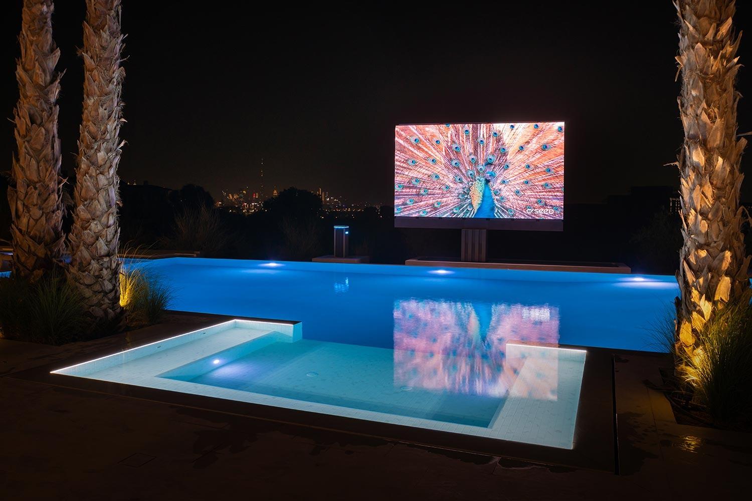 C SEED HLR TV Dubai 7